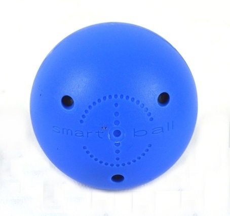 Potent Hockey Loptička  Smart Ball